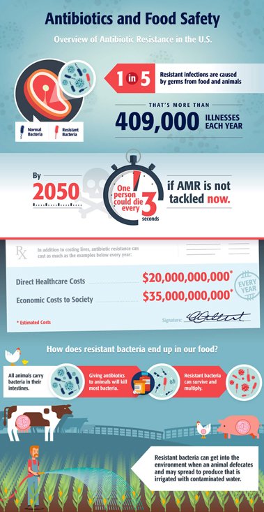 infographic-example-small
